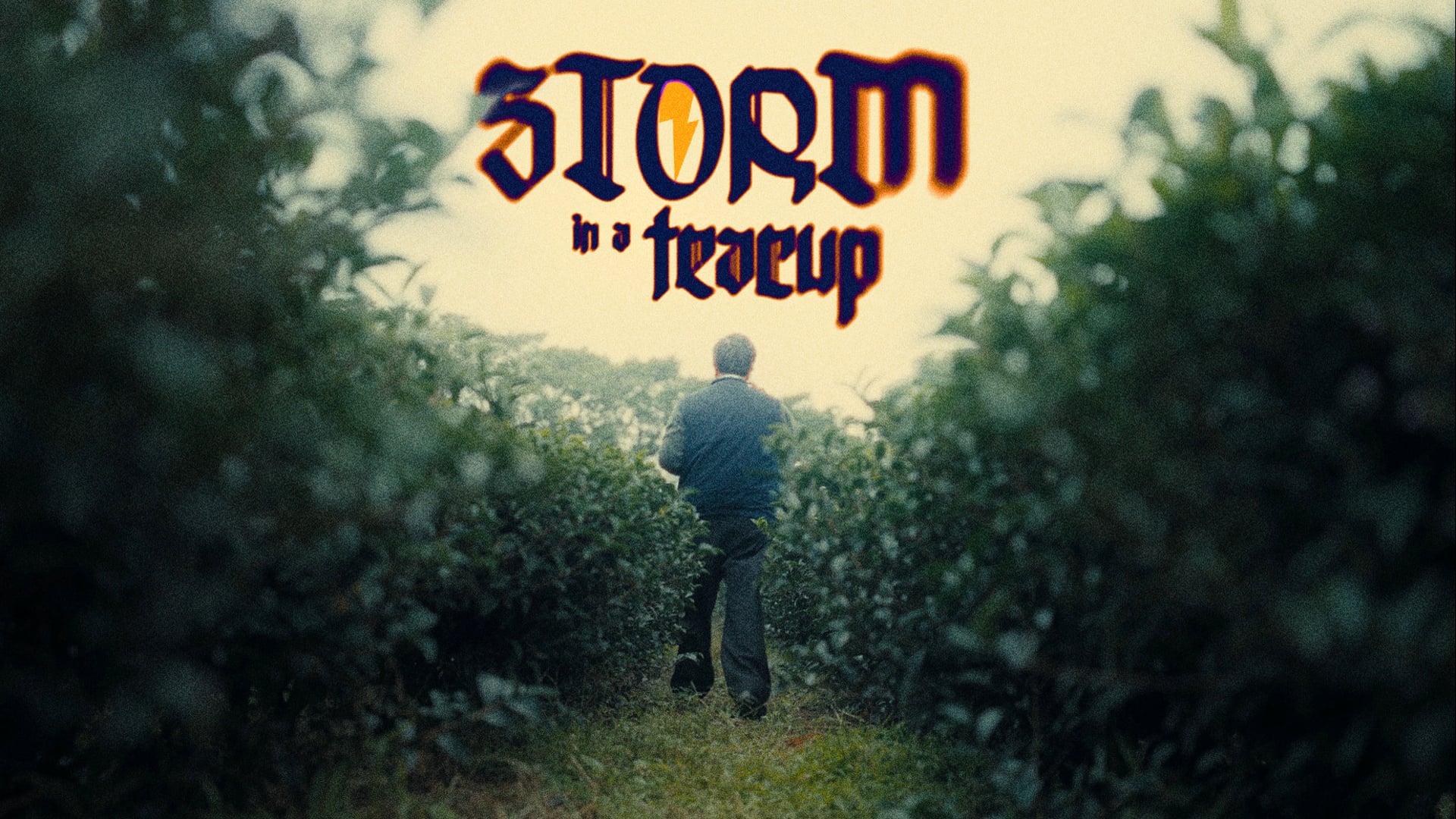 Storm in a Teacup: Taiwan's Tea Boiling Alive, DOCUMENTARY, 2026
